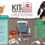 Lo que debes incluir en el kit de emergencia para tus mascotas en caso de huracanes.