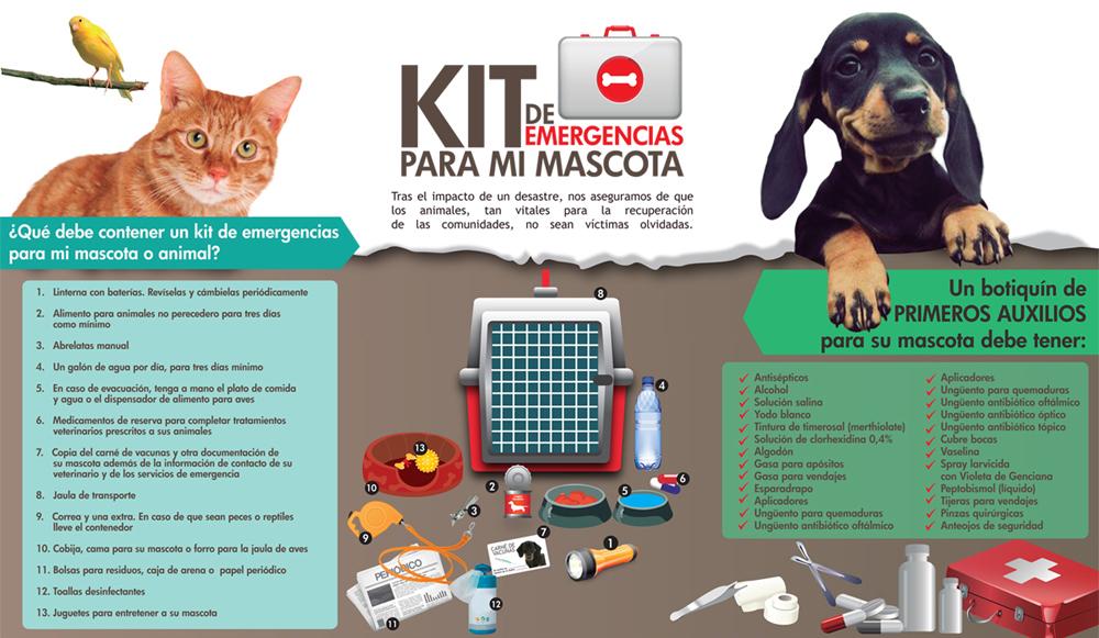 Lo que debes incluir en el kit de emergencia para tus mascotas en caso de huracanes.