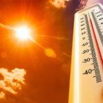 la actual ola de calor está llevando los termómetros a niveles que representan un riesgo directo para la salud pública
