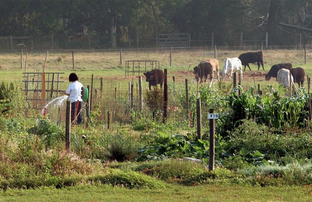 Descubre cómo iniciar tu propio negocio agrícola