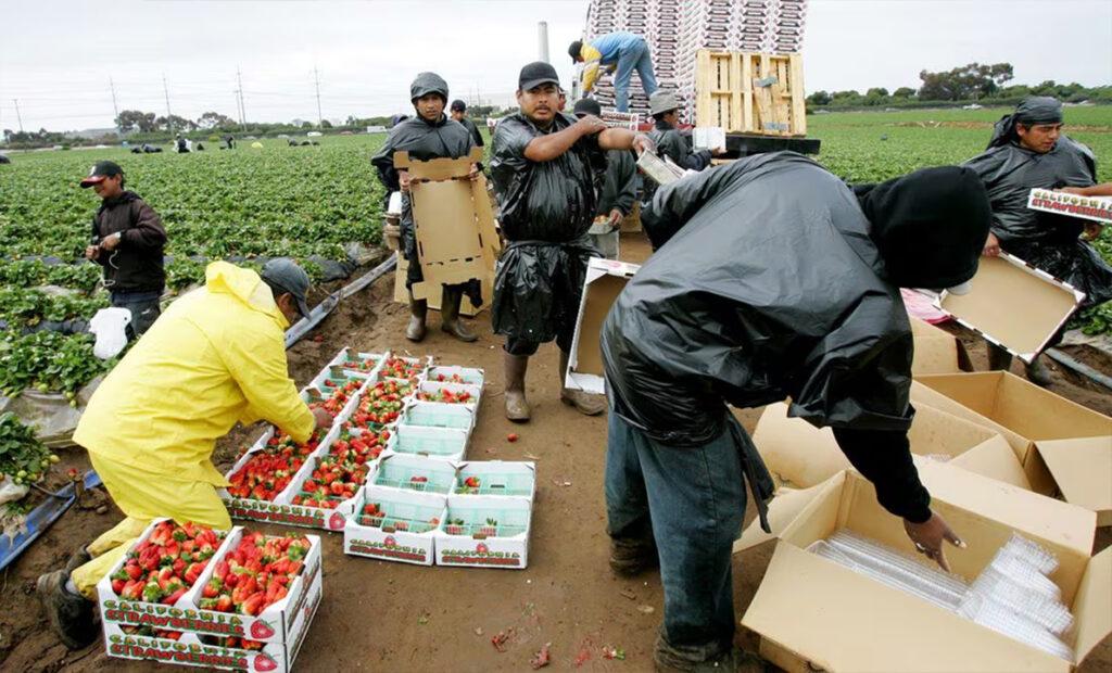 Ampliación automática de permisos de trabajo: Más tiempo para los migrantes
