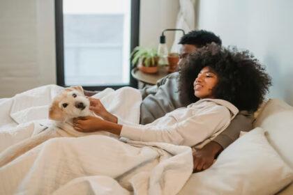 Las Mascotas como Cementante de Relaciones: Una Mirada Más Profunda