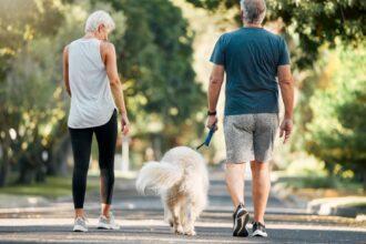 Pasear al perro con regularidad reduce el riesgo de caídas en adultos mayores