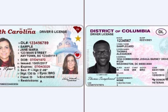 REAL ID en EEUU: requisitos de la única identificación válida para viajar en avión