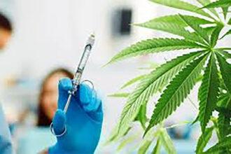El consumo de marihuana disminuye la fertilidad masculina al agotar a los espermatozoides antes de llegar al óvulo, causando problemas de fertilidad y reduciendo las posibilidades de embarazo.