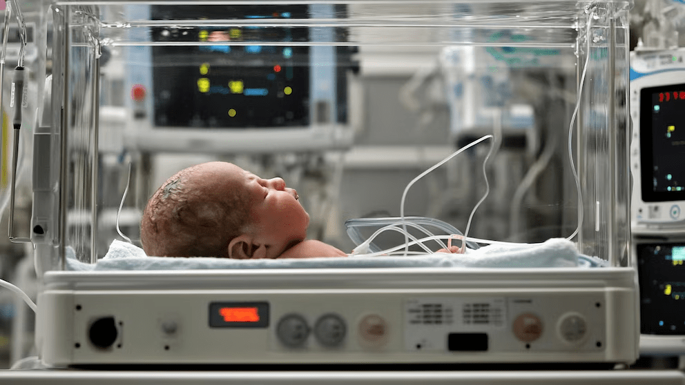 Estas son todas las nuevas leyes que entrarán en vigor a partir del 1 de julio en Florida