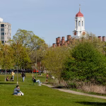 Una jueza federal bloqueó el intento de Trump de prohibir a los estudiantes internacionales en la Universidad de Harvard