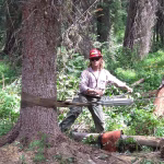 Estados Unidos autorizó la tala en 24 millones de hectáreas de bosques nacionales protegidos