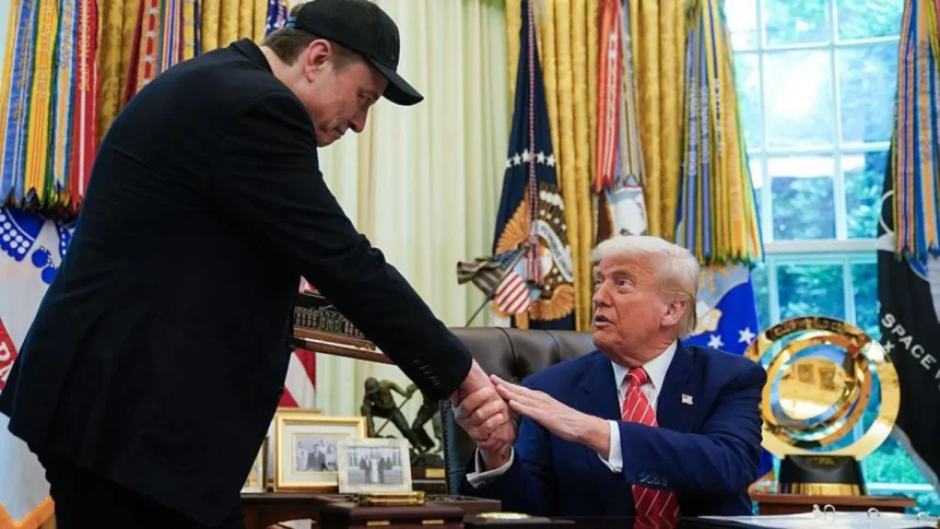 Cómo Trump y Musk siguen vinculados, a pesar de su guerra de insultos y amenazas (y cómo se podrían perjudicar el uno al otro)