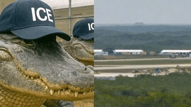 Alligator Alcatraz comenzó a recibir a inmigrantes: ¿Qué pasará con ellos?