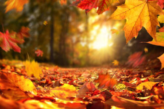 El equinoccio de otoño es un fenómeno que altera la duración del día y la noche...