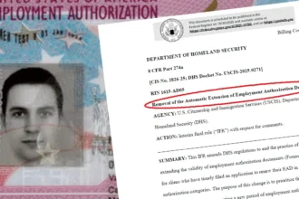 USCIS cancela la extensión automática de permiso de trabajo