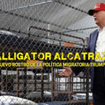 Crisis de Derechos Humanos en centros de Detención de Trump