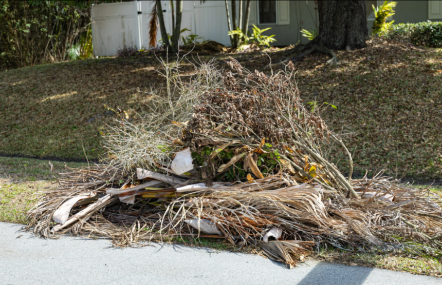 Reglas Recoleccion Basura Vegetal Port St Lucie 2026