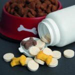 suplementos naturales impulsan una nueva tendencia en mascotas