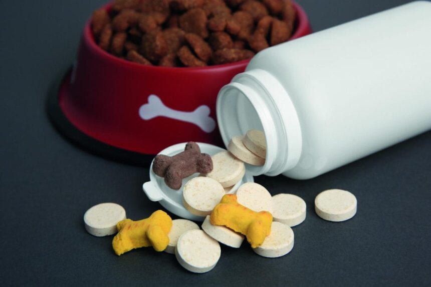 suplementos naturales impulsan una nueva tendencia en mascotas