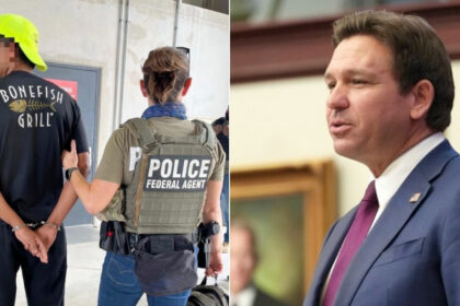 ¿Alerta en Florida? USD 90 millones para que policías cacen con ICE