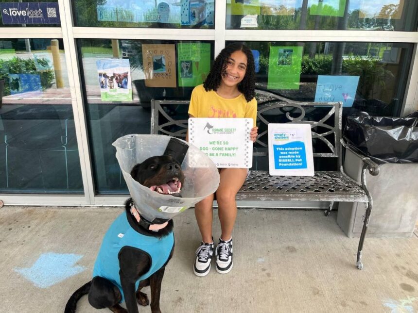 Exitosa Jornada de adopción de mascotas en St. Lucie