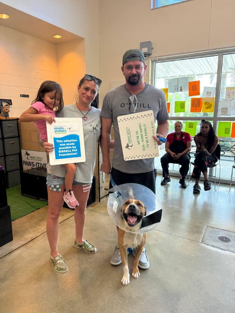 Exitosa Jornada de adopción de mascotas en St. Lucie