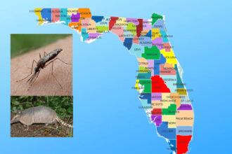 Reciente aumento de casos de dengue y lepra (enfermedad de Hansen) en Florida