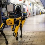 Patrullaje futurista: ICE proyecta usar perros robot en la frontera