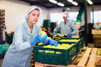 EE. UU. actualiza su guía de seguridad para productos frescos ante alertas alimentarias