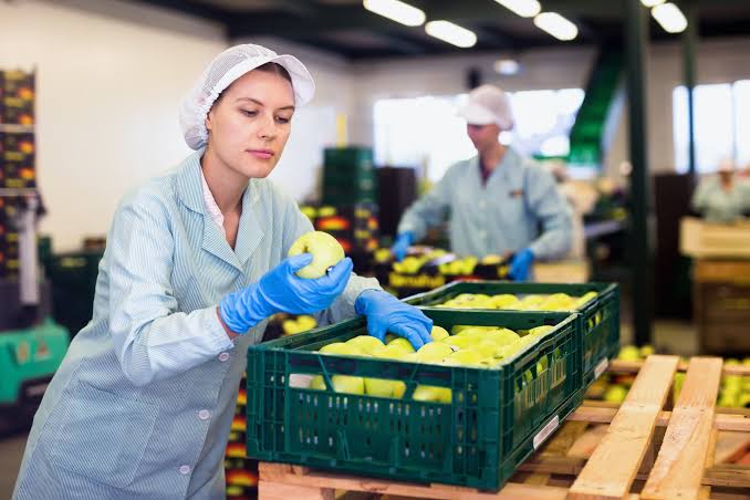 EE. UU. actualiza su guía de seguridad para productos frescos ante alertas alimentarias