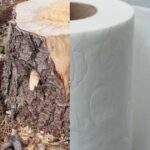 Crisis en el baño: El conflicto con Canadá amenaza el suministro de papel higiénico