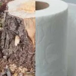 Crisis en el baño: El conflicto con Canadá amenaza el suministro de papel higiénico