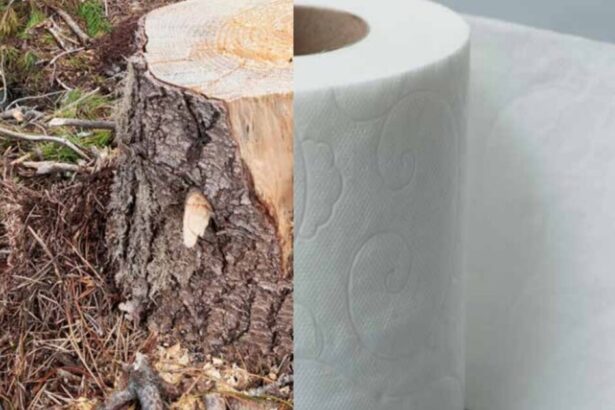 Crisis en el baño: El conflicto con Canadá amenaza el suministro de papel higiénico