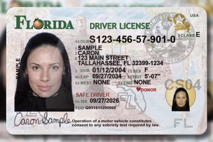 Nuevas licencias en Florida: Caimanes, transbordadores y un lema histórico
