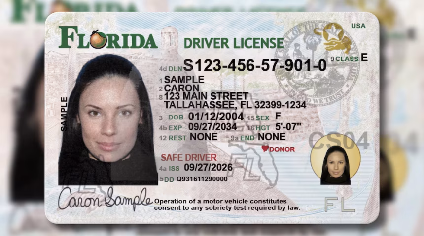 Nuevas licencias en Florida: Caimanes, transbordadores y un lema histórico