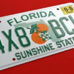 Leyes en Florida que entran en vigor: Placas, alquileres y mascotas