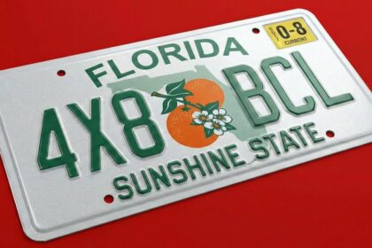 Leyes en Florida que entran en vigor: Placas, alquileres y mascotas