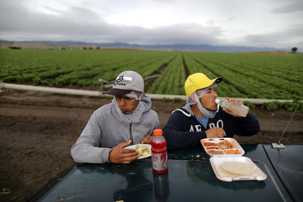 El Futuro de las Zonas Rurales de EE. UU. en Riesgo por Ofensiva Migratoria