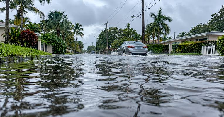 Alerta Meteorológica en Florida: Lluvias Intensas y Riesgo de Inundaciones