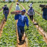 El Futuro de las Zonas Rurales de EE. UU. en Riesgo por Ofensiva Migratoria