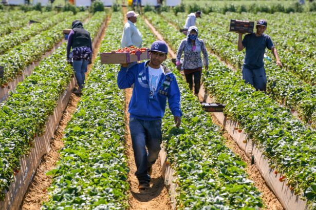El Futuro de las Zonas Rurales de EE. UU. en Riesgo por Ofensiva Migratoria